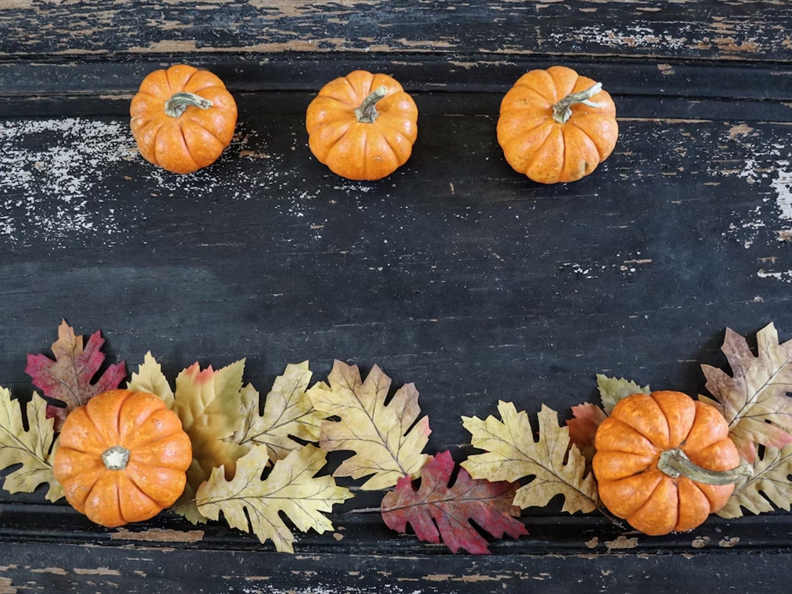 Cap sur la Déco - Halloween poétique et écologique - Disposition harmonieuse de citrouilles et de feuilles d'automne